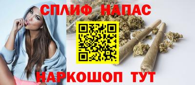 PSILOCYBIN Ярославль
