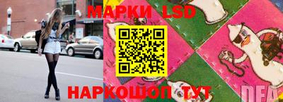 PSILOCYBIN Ярославль