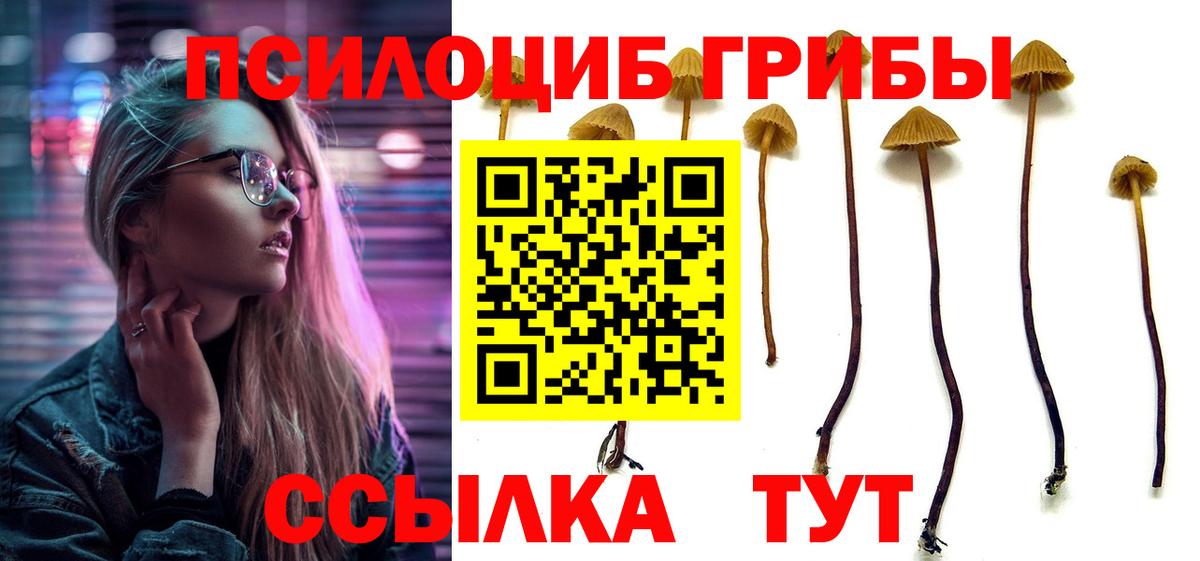 Галлюциногенные грибы ЛСД Артём